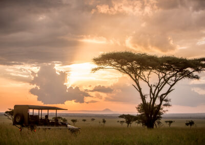 Singita Grumeti Game Drive and Landscape